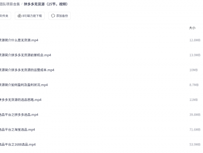 拼多多无货源（25节，视频）