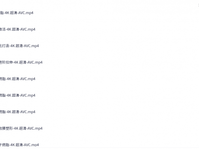 闫帅奇女性马甲线打造减脂瘦肚子方案（完结）