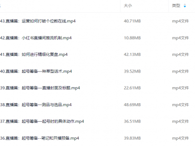 2025小红书电商全链路运营