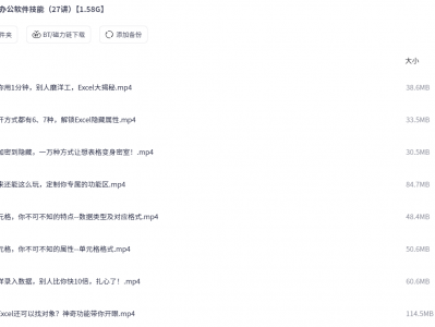 高效办公软件技能（27讲）【1.58G】