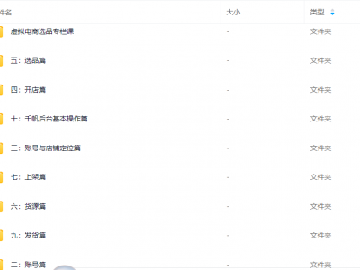 小红书虚拟电商课程2.0版