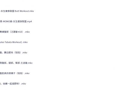 全身暴汗健身视频教程