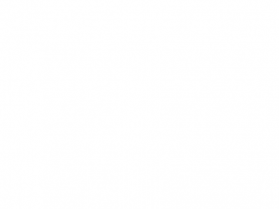 《2025闲鱼虚拟项目实战教程》跟着老手从零操作赚钱秘籍｜付费课程视频