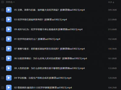 清华大学靳卫萍老师：经济学思维30讲-[B站]