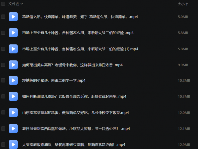 【教程】国宴大师教做菜（123道菜合集）