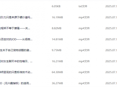 黑猫《终身制M3系统私教内部课程》102节