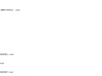 淘宝：开店运营教程直通车