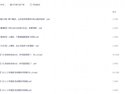 秋叶Word+Excel+PPT三合一（400节）