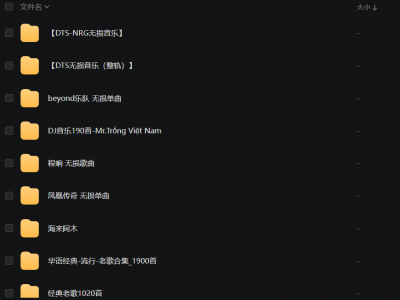 各类精品无损音乐大合集（共52G）